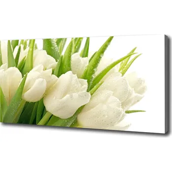 Obraz Foto obraz tištěný na plátně Bílé tulipány