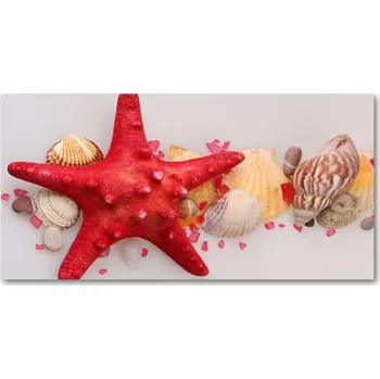 Obraz Foto obraz skleněný horizontální Hvězdice a mušle