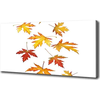 Obraz Foto obraz na plátně do obýváku Podzimní listí