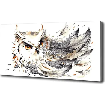 Obraz Foto obraz na plátně Sova