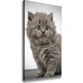Obraz Vertikální Foto obraz na plátně Šedá a britská kočka