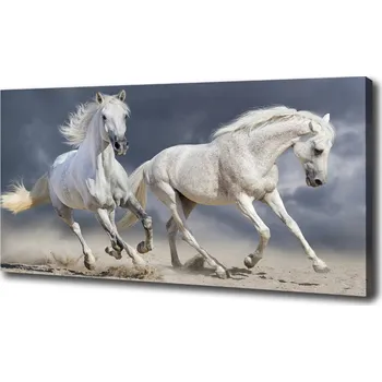 Obraz Foto obraz tištěný na plátně Bílí koně pláž