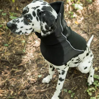 Obleček pro psa Back on track Benji nákrčník velikost: S