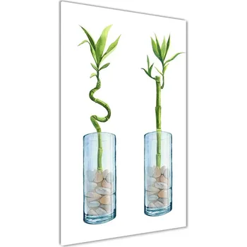 Obraz Foto obraz akrylový vertikální Bambus v květináči