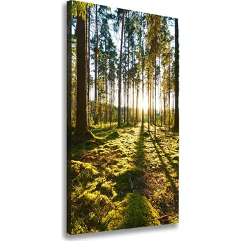 Obraz Vertikální Vertikální Foto obraz na plátně do obýváku Sosnový les