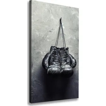 Obraz Vertikální Foto obraz na plátně Boxerské rukavice