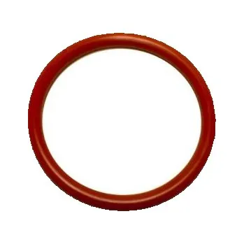 RC náhradní díl O-kroužek 65x2,5 MVQ 70 ShA Rubena