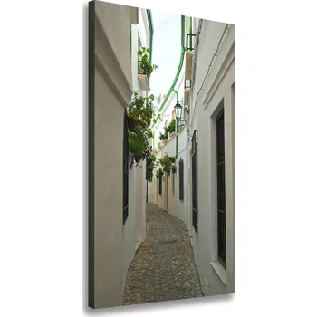 Obraz Vertikální Foto obraz na plátně Uličky Andalůzie