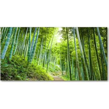 Obraz Foto obraz skleněný horizontální Bambusový les