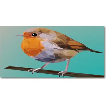 Obraz Foto obraz skleněný horizontální Červenka obecná pták