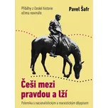 Češi mezi pravdou a lží: Příběhy českých dějin očima novináře - Pavel Šafr (2020) [E-kniha]