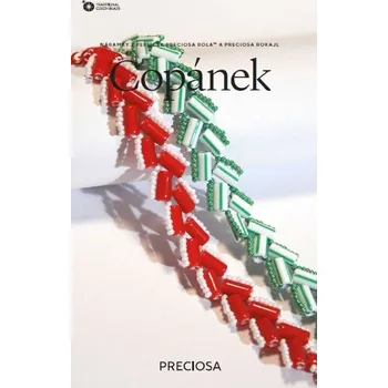 Korálek KORÁLKOVÁ STAVEBNICE - Náramky copánek (2ks) (Copánek)