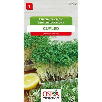 Semeno Řeřicha zahradní - Curled