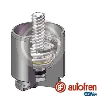 Brzdový třmen Píst, brzdový třmen AUTOFREN SEINSA D025704K