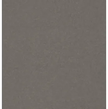 pvc podlaha FORBO PVC NOVILUX TRAFFIC 5581 ŠÍŘKA: 4 m, POUŽITÍ: Zátěžové, Bytové