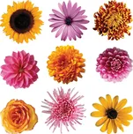 Samolepka / samolepící dekorace na zeď SS 3861, Květiny, AG Design