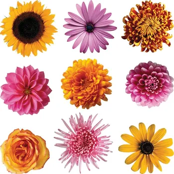 Samolepka / samolepící dekorace na zeď SS 3861, Květiny, AG Design