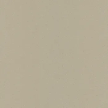 Tapeta Metalická vliesová tapeta na zeď JF1214, Vavex 2025