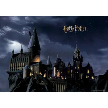 Fototapeta Dětská fototapeta Harry Potter 252 x 182 cm, 4 díly
