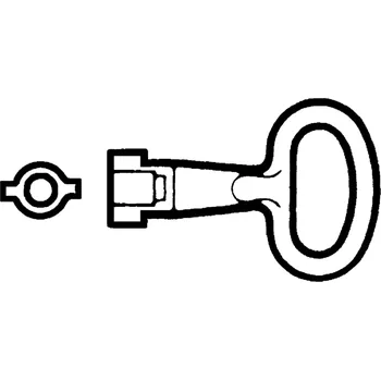 Rozvaděč SCHNEIDER ELECTRIC SCHNEIDER Klíč 3mm motýlek NSYLDB5