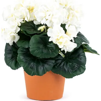 umělá květina Umělá květina Muškát v květináči bílá, 26 x 10 x 10 cm