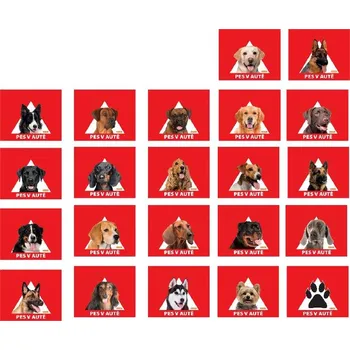 Samolepicí dekorace na vozidlo JUKO Samolepka JACK RUSSEL TERIÉR