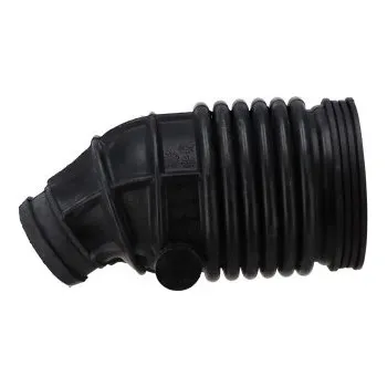 Vzduchový filtr Hadice vzduchového filtru 500366843