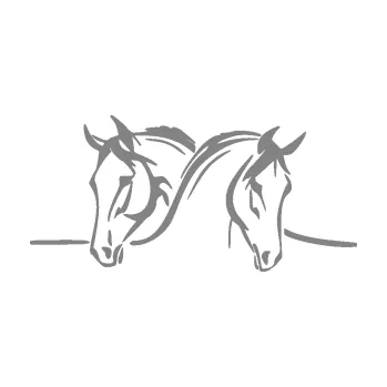 Samolepící dekorace SAMOLEPKA Koníci 006 pravá (17 - šedá) NA AUTO, NÁLEPKA, FÓLIE, POLEP, TUNING, VLASTNÍ TEXT, TISK, AUTOSAMOLEPKY.cz, POLEPY, OBRÁZEK, LOGO, SAMOLEPKY