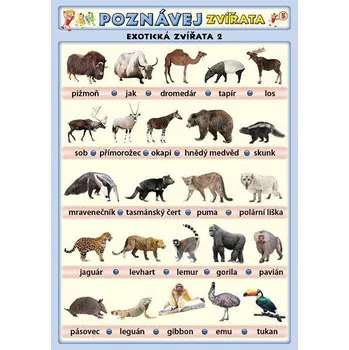 výuková tabulka Kupka nakladatelství Poznávej zvířata 5: exotická zvířata 2 A4