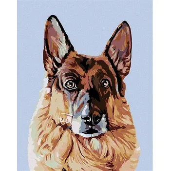 Malování podle čísel - Hledící německý ovčák, 40x50 cm, bez rámu a bez vypnutí plátna