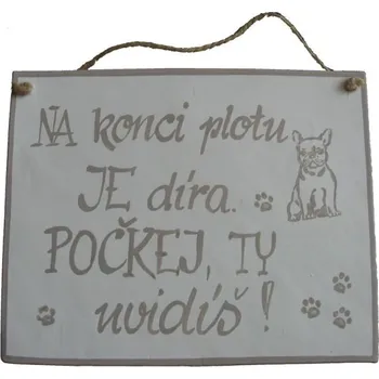 Domovní cedule PSÍ CEDULKA XXL NA KONCI PLOTU JE DÍRA + extra výběr z 4000 produktů