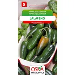 Osiva Moravia Jalapeňo paprika…