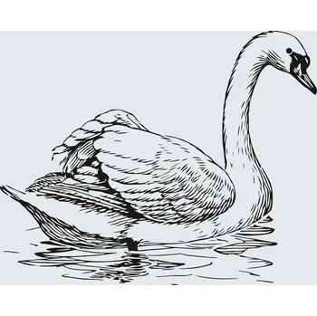 Malování podle čísel - Labuť v jezeře Velikost: 40x50cm, Rámování: Pouze srolované plátno