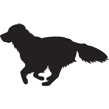 Vsepropejska Zlatý retrívr 3 dřevěná dekorace na zeď Rozměr (cm): 22 x 38