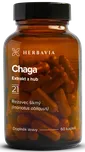 Herbavia Chaga 660 mg 60 cps.