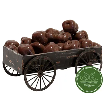 Kokosové kousky v mléčné čokoládě 250g