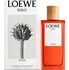 Pánský parfém LOEWE Solo Atlas M EDP