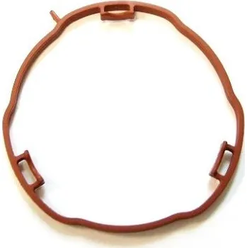 Těsnění motoru Těsnění, koleno sacího potrubí ELRING 456.960