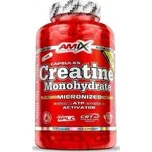 Amix Creatine Monohydrate 500 kapslí