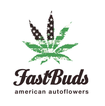 Semeno Fast Buds Original Afghan Kush Auto (Samonakvétací, feminizovaná semena Original Afghan Kush Auto)