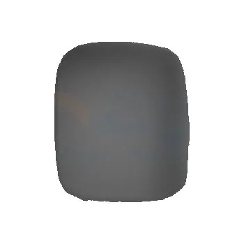 Auto zrcátko Kryt, vnější zrcátko VAN WEZEL 1612844