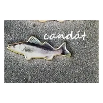 Rybářské oblečení DK Fishing Rybářský odznak - Candát