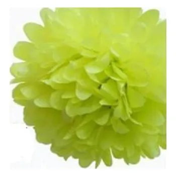 Party dekorace Papírové květinové koule Pom-poms 20cm - zelená mint
