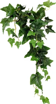 Umělá květina Autronic Břečťan převis 72 cm zelený 