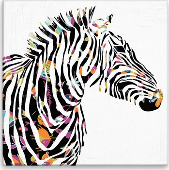 Malování podle čísel - Zebra s květovanými pruhy - 40x40 cm, bez dřevěného rámu - CZ výroba