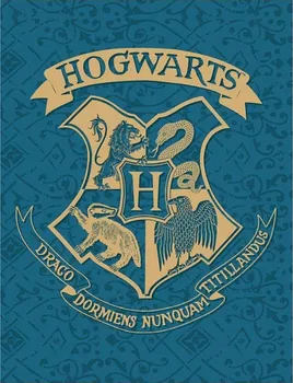 Dětská deka Halantex Deka Harry Potter 130 x 170 cm tyrkysová