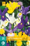 JUB Holland Iris Hollandica Mix kosatec…