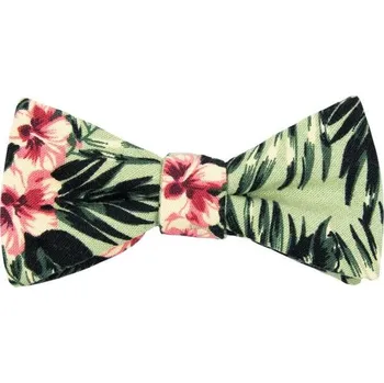 Motýlek Bubibubi Zelený motýlek Aloha