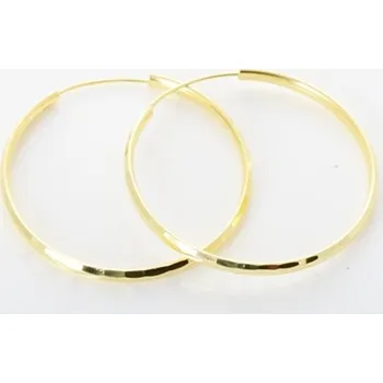 Náušnice Stříbrné pozlacené naušnice kruhy SVLE0209XD5G060