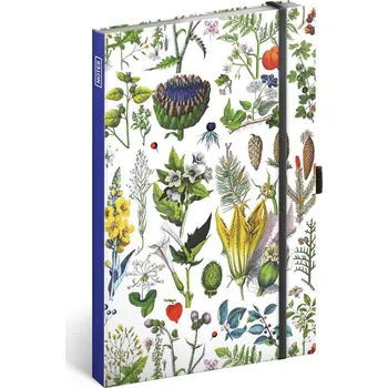 Zápisník Zábavný kalendář Kateřiny Winterové 2021 - Presco Group